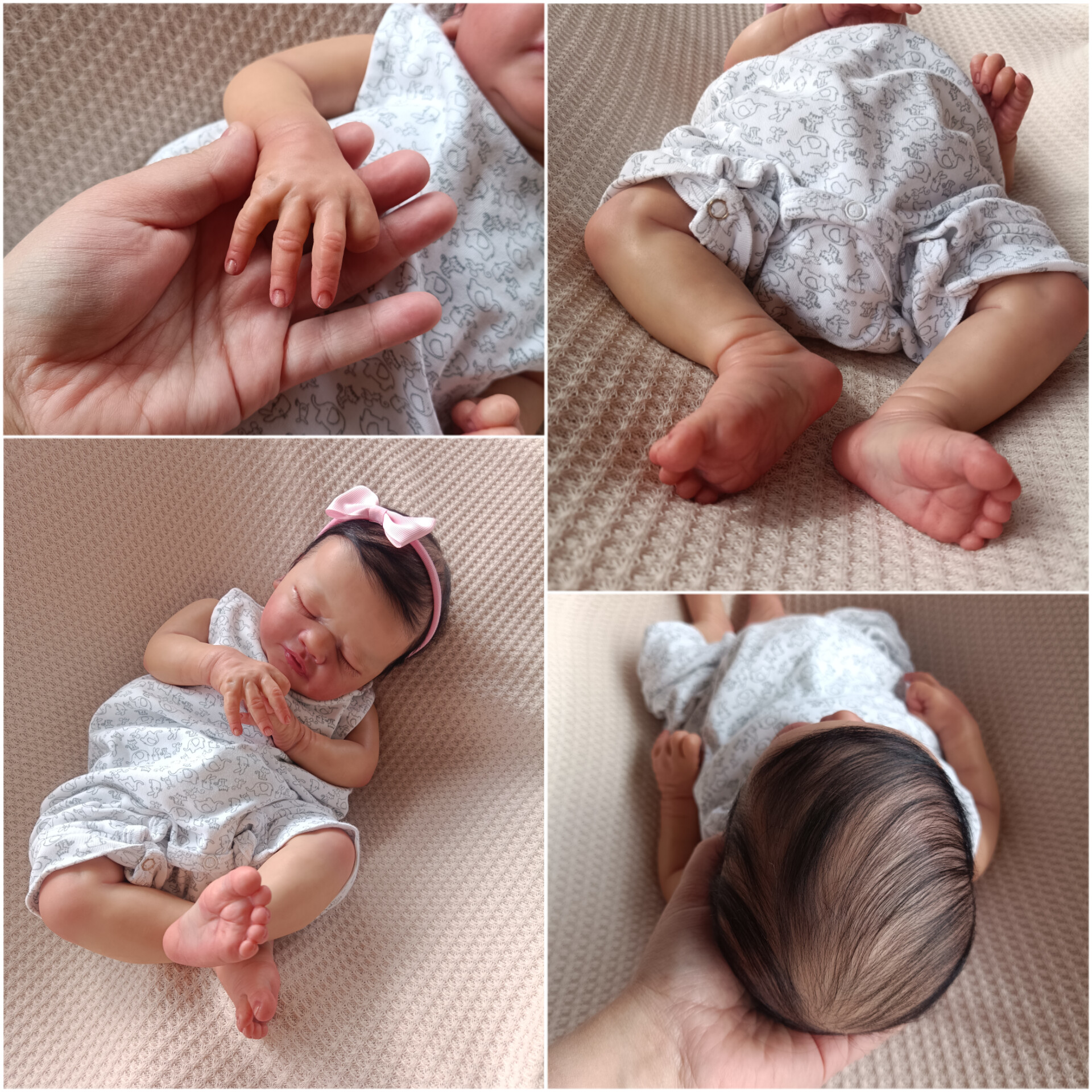 Ateliê Reborn